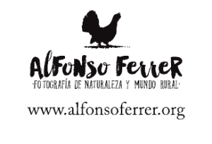 Alfonso Ferrer. Valle de Chistau.